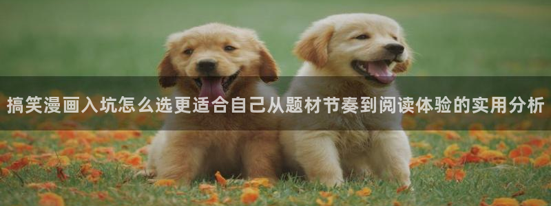歪歪羞羞漫画七七漫画在线阅读：搞笑漫画入坑怎么选更适合自己从题材节奏到阅读体验的实用分析